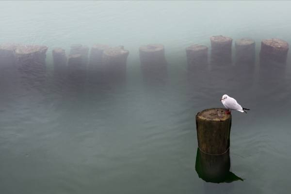 Photograph Mikel Arrizabalaga Kaioa on One Eyeland